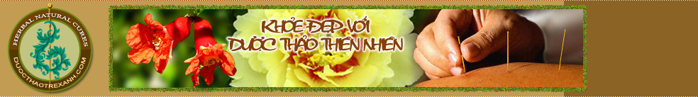 Herbal Natural Cures, Lucid Ganoderma, Royal Jelly, Bee Pollen,Ge Defying Cream