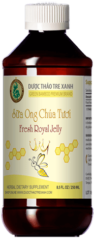 SỮA ONG CHÚA TƯƠI